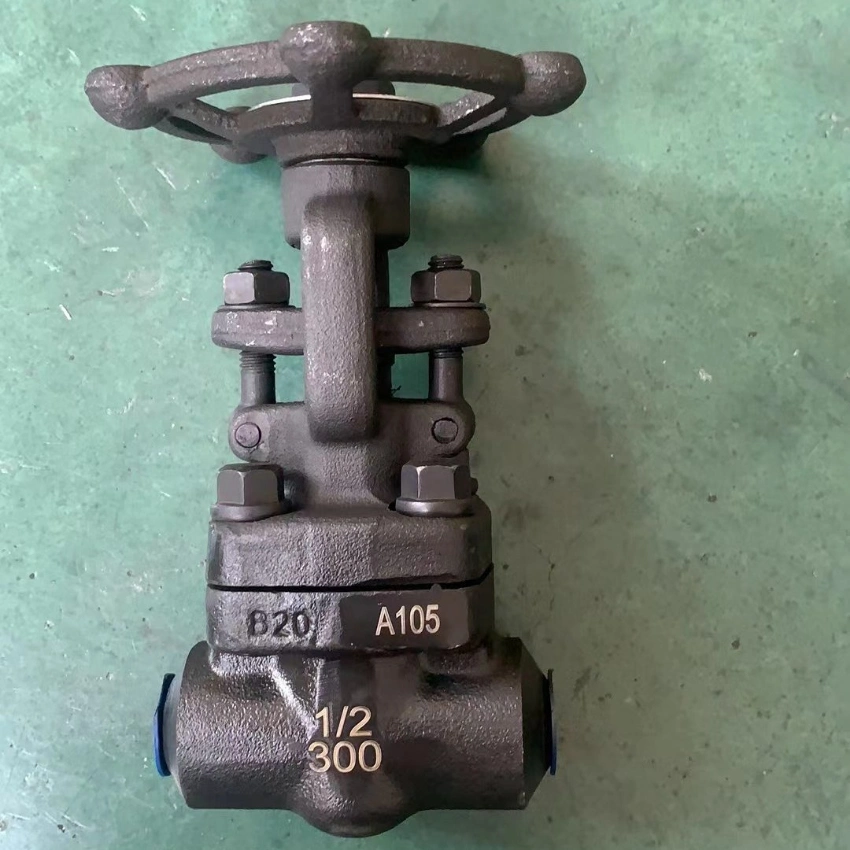 A105 Forged Steel Stainless Steel Cast Iron Sw Bw NPT Thread Globe Valve