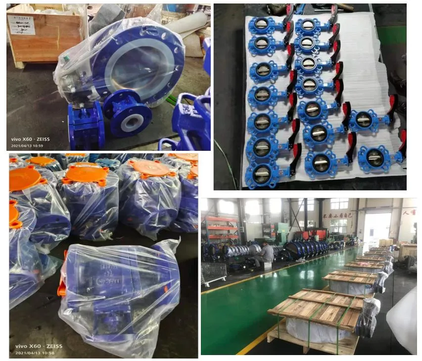 Ductile Iron/Cast Iron Pn1.0 Pn1.6MPa PTFE Lined H41 Check Valve